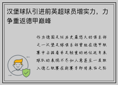 汉堡球队引进前英超球员增实力，力争重返德甲巅峰