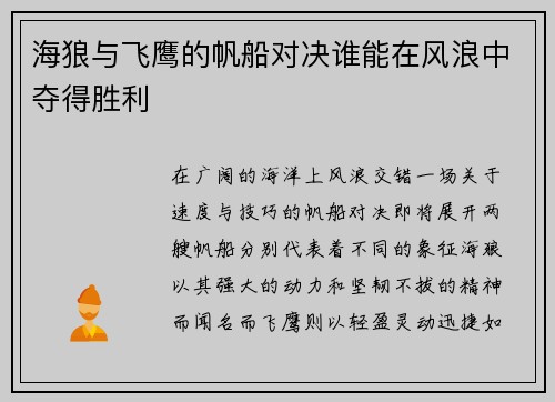 海狼与飞鹰的帆船对决谁能在风浪中夺得胜利