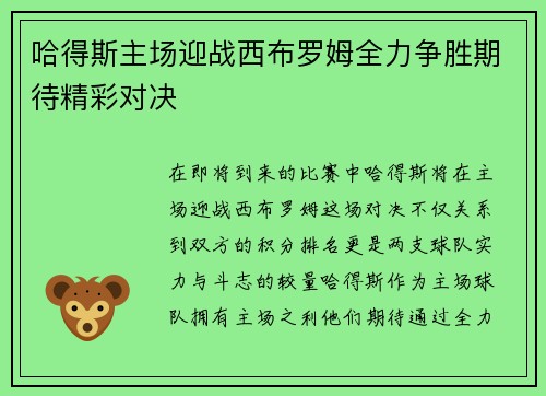 哈得斯主场迎战西布罗姆全力争胜期待精彩对决