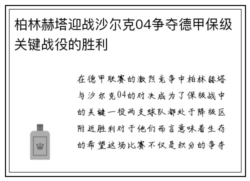 柏林赫塔迎战沙尔克04争夺德甲保级关键战役的胜利