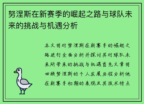 努涅斯在新赛季的崛起之路与球队未来的挑战与机遇分析