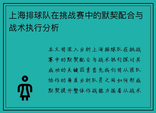 上海排球队在挑战赛中的默契配合与战术执行分析